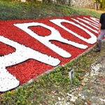 Ardino-3
